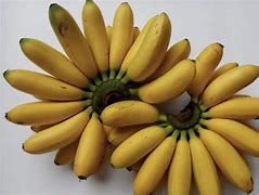 Pisang Emas Dibawa Berlayar Masak Sebiji Diatas Peti Hutang Emas Dapat Dibayar Hutang Budi