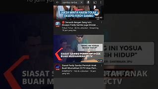 Sambo Terbaru Hari Ini